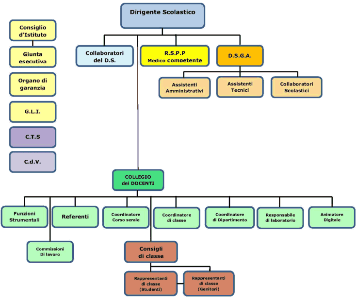 organigramma2